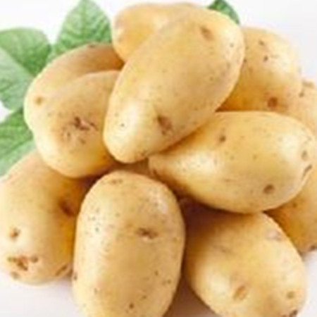 What are the nutritional values ​​and pharmacological effects of potatoes? 