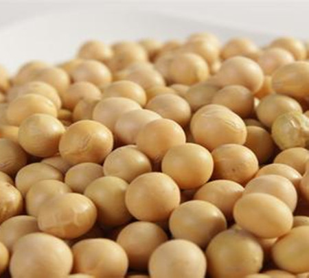 Do you know what benefits soybeans have?