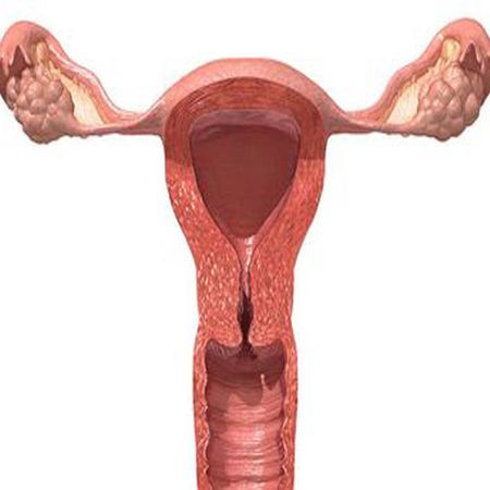 Salpingitis can easily affect pregnancy, so be careful!