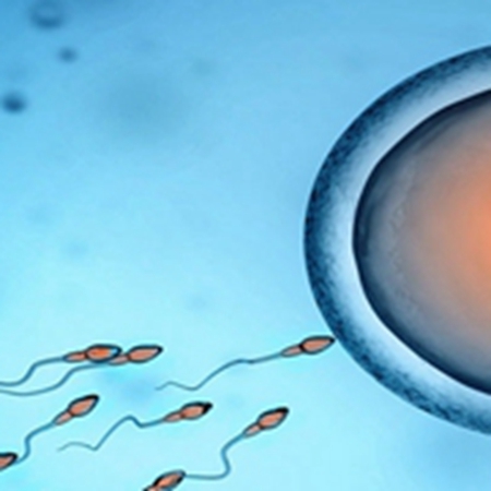 Small details that affect sperm, there are sperm killers everywhere