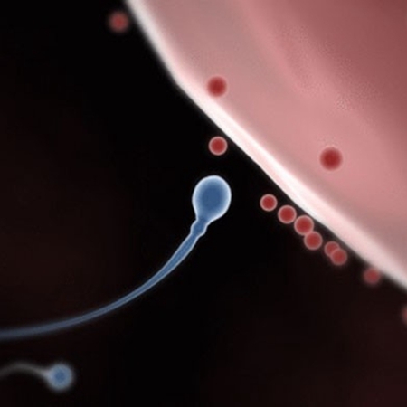 13 secrets of sperm to solve all your confusions