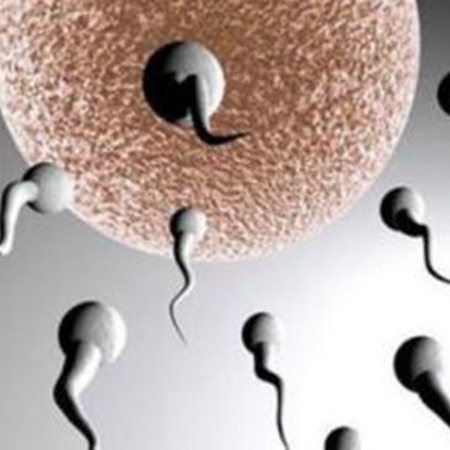 What\’s going on with the sperm count? How to treat it?