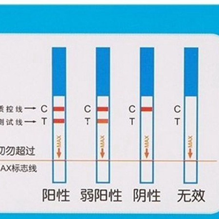 How to correctly predict ovulation? to have a successful pregnancy