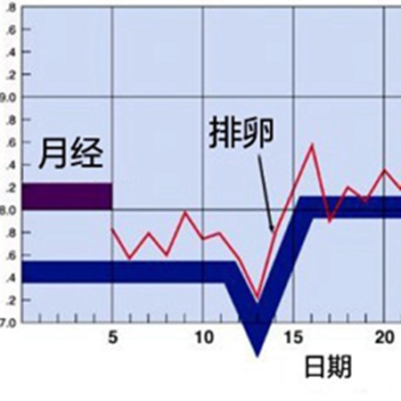 Female friends, how to calculate the menstrual cycle day by day?