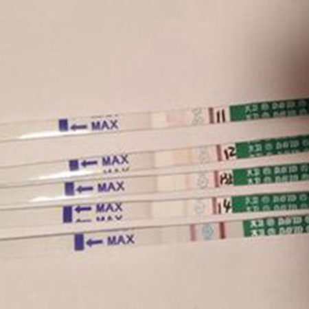 How to self-test whether you are pregnant using pregnancy test strips?