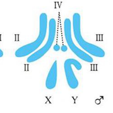 Chromosomes determine gender, and it is unscientific to say \”sour children and hot girls\”