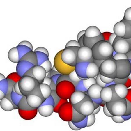 One of the secrets of hormones: initiating factors