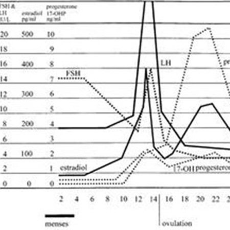 A hormone essential for pregnancy: progesterone