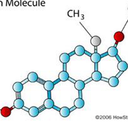 Understanding women’s basic hormone: estrogen