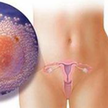 What is the difference between ovulatory menstruation and anovulatory menstruation?