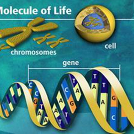 What are the classifications of genetic diseases and their prevention methods?