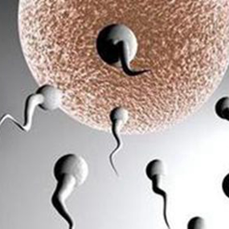 Hormone drugs commonly used by women can also improve male sperm