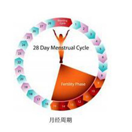 When preparing for pregnancy, you must understand the ovulation period and ovulation pattern