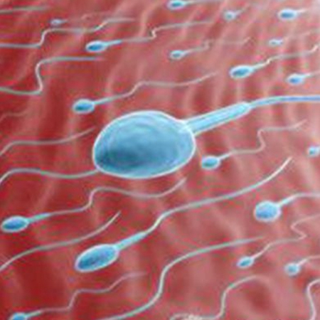 Do you understand the nature of sperm? You have to understand!