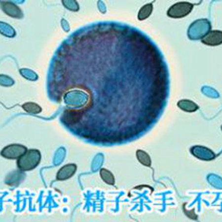 How can I avoid developing anti-sperm antibodies?