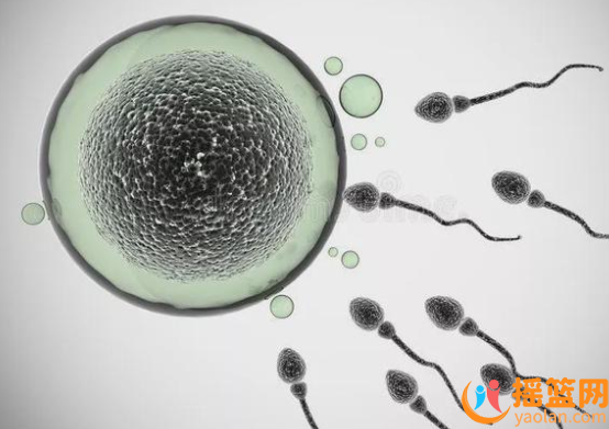 Male Reproductive Health, Biomarkers of Pregnancy Success