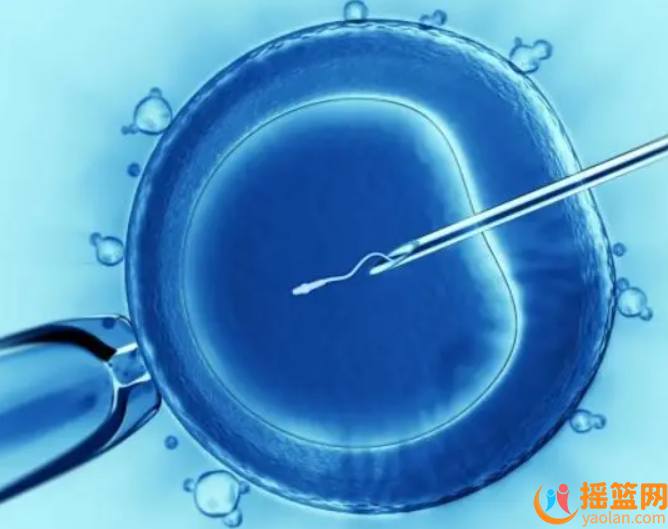 Super crude ovulation – the secret recipe to increase the success rate of IVF!