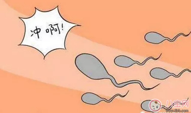 How How easy is it to conceive a boy? What should you eat to conceive a boy? 