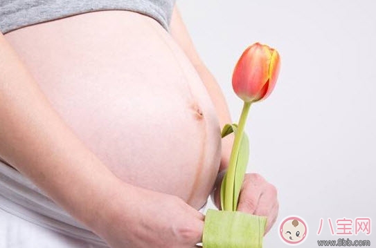 What flowers and plants should not be raised by pregnant women? What flowers and plants are suitable for pregnant women to raise (list of flowers and plants suitable for pregnant women)