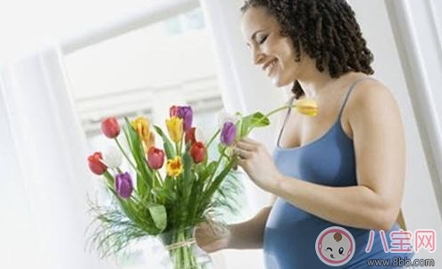 What flowers and plants should not be raised by pregnant women? Which flowers and plants are suitable for pregnant women (list of flowers and plants suitable for pregnant women)