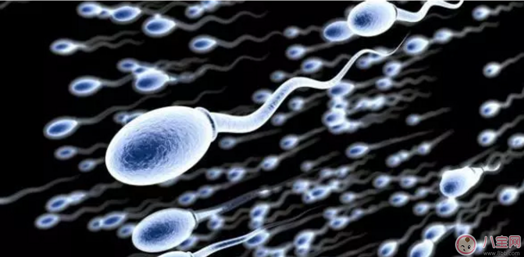 Enhance male fertility Improve sperm quality