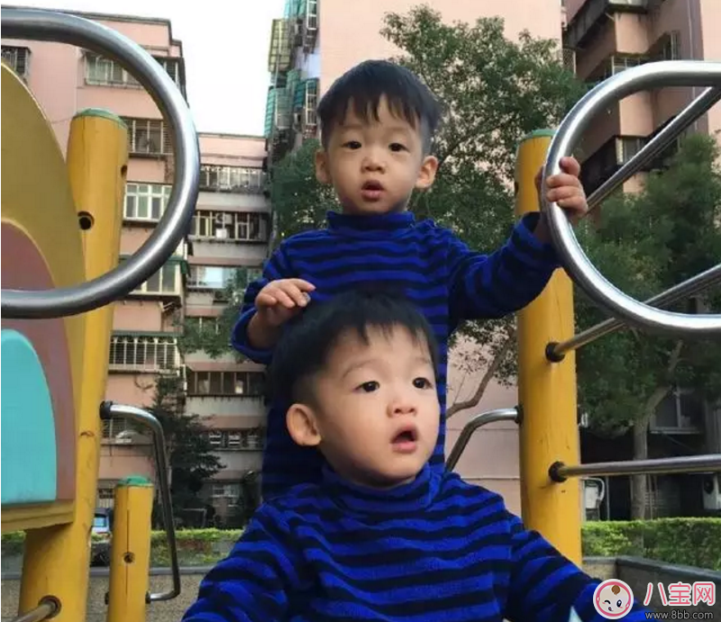  How Weiqi Fan\'s twin sons are smart and cute can increase the chance of having twins