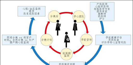 Pre-pregnancy diet management team method_How to adjust the pre-pregnancy diet