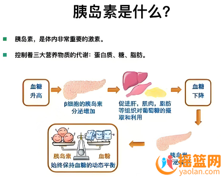 Insulin resistance and artificial insemination: Is there a link?