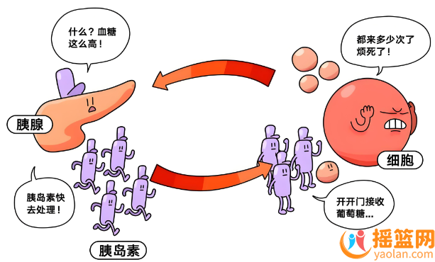 What is insulin resistance? Causes of Insulin Resistance