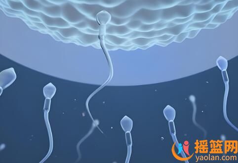 In daily life, what factors may reduce male fertility?